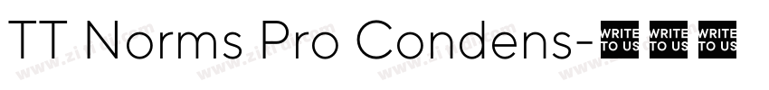 TT Norms Pro Condens字体转换 TT Norms Pro Condens字体转换